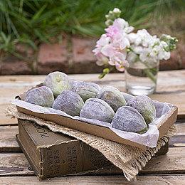 Epic喜加一：《最后的战役：劫后余生》《TOEM》免费